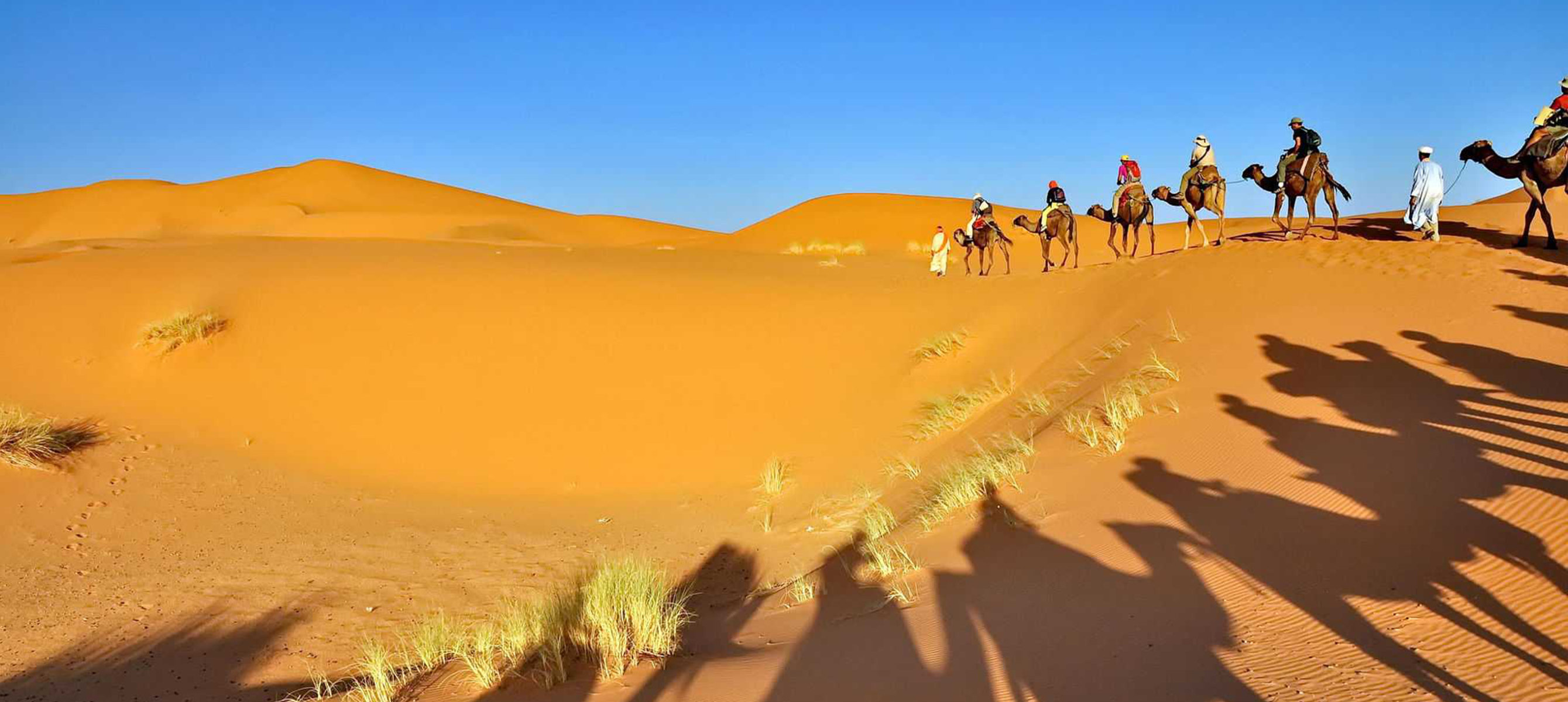 Majesty Merzouga Desert